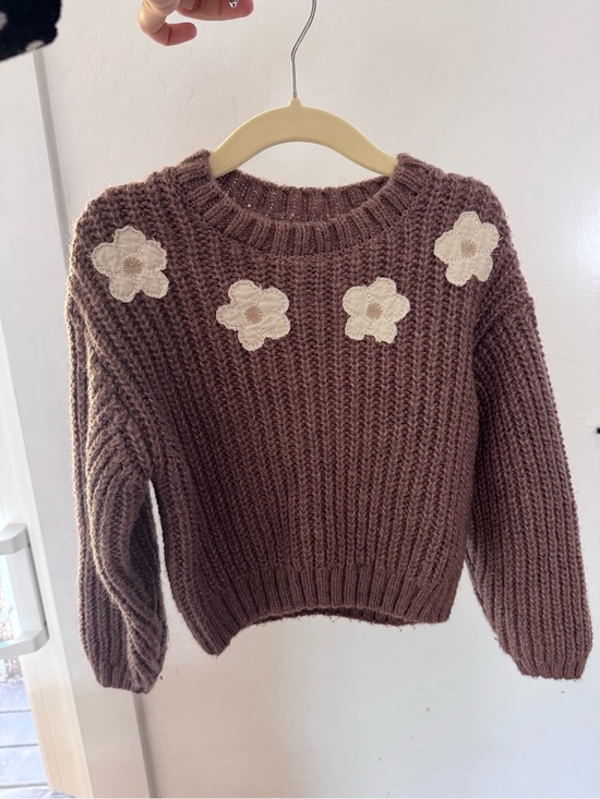 Zara Other - Zara Brown Chunky Knit Sweater with Cream Floral Appliqués